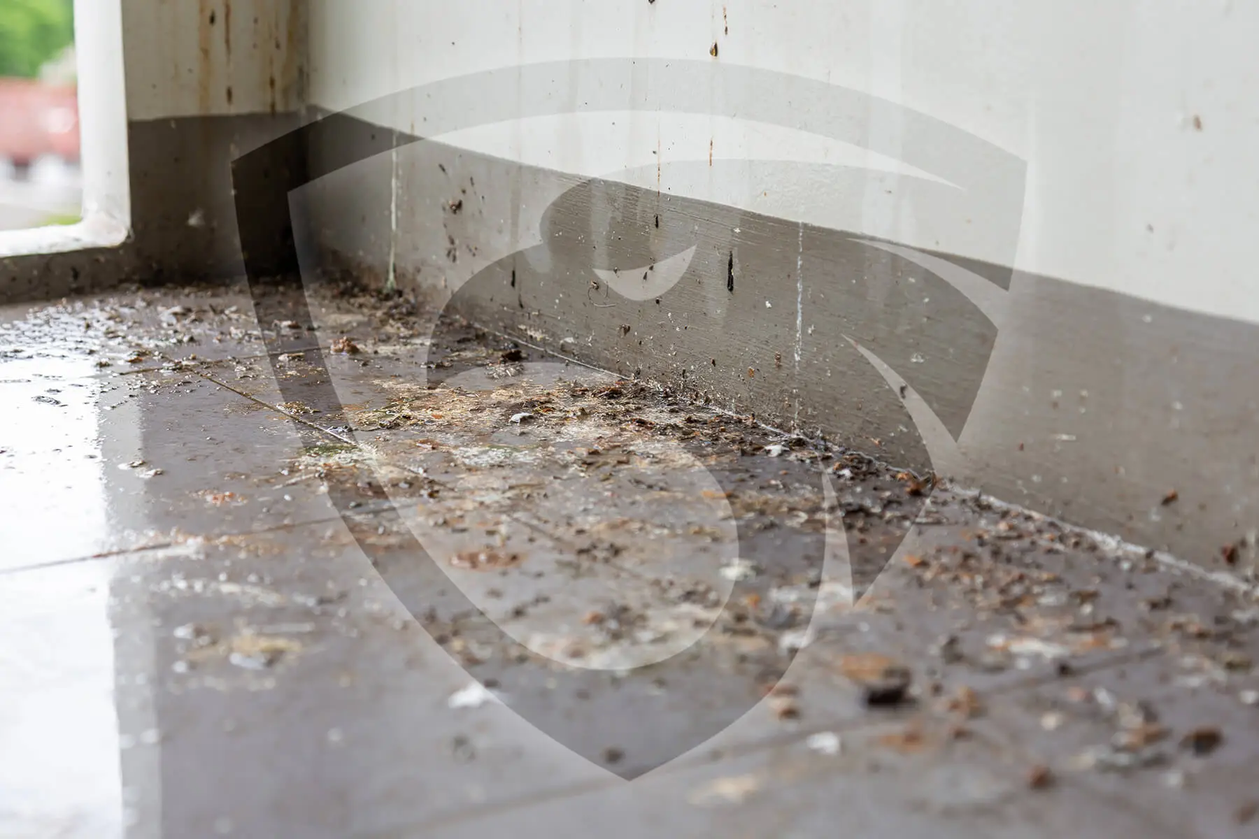 Close-up of a dirty indoor corner with a tiled floor, covered in dust, debris, and pigeon droppings. The walls are light-colored, showing signs of stains and grime. A translucent shield-like graphic overlays the image, hinting at the importance of pigeon removals for a pristine space.